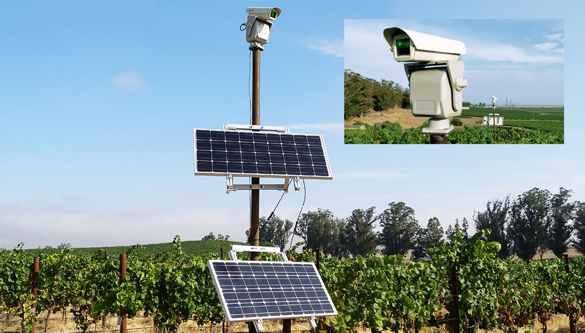 Robotic laser bird repellent